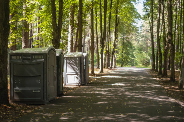 Best Root Management and Removal  in Estill Springs, TN